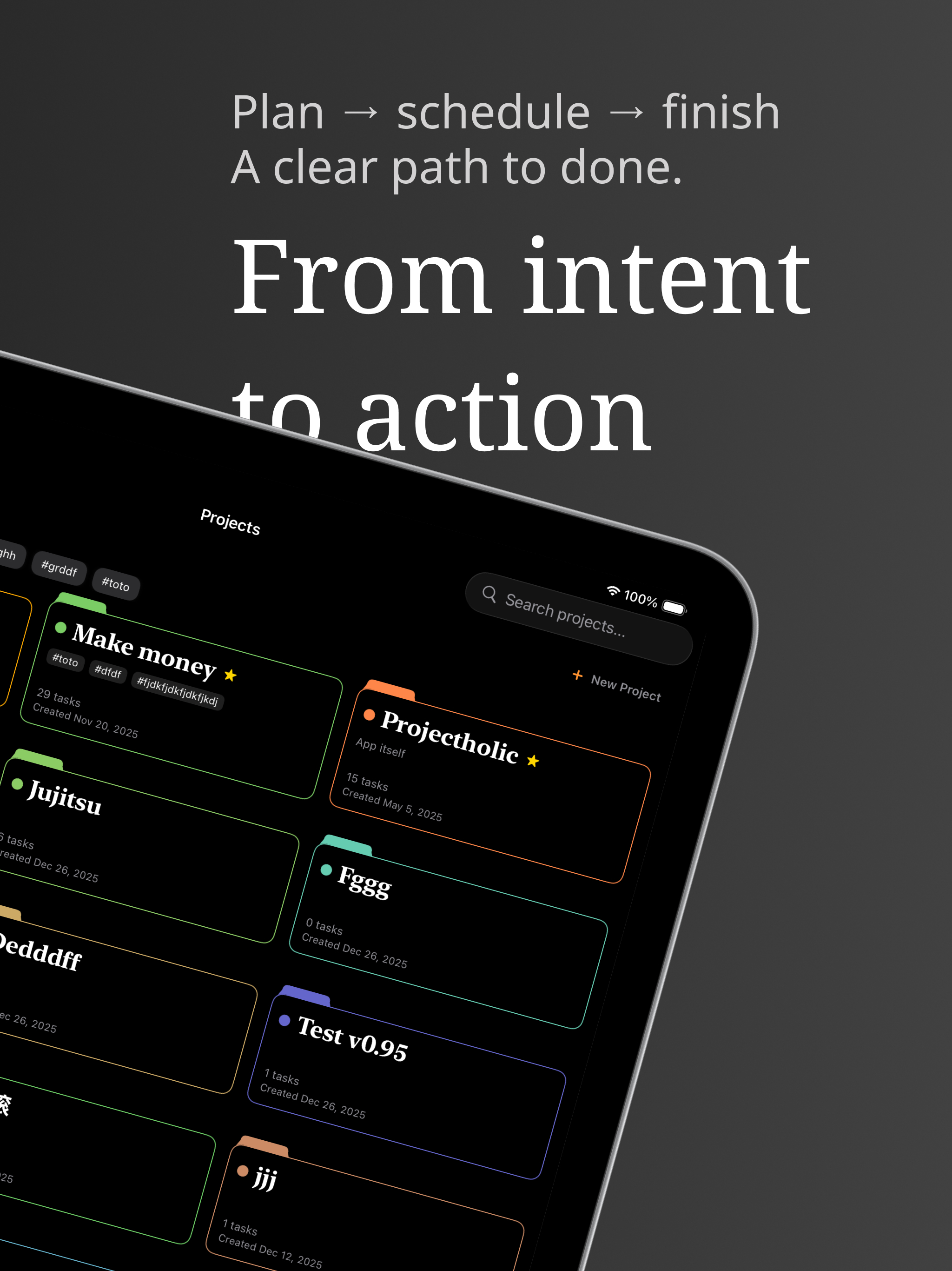 A project broken into a short sequence of milestones on iPad in Projectholic
